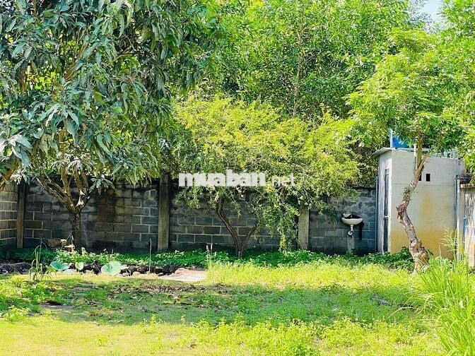Chưa tới 3 tỷ sở hữu ngay nhà vườn 500m² gần biển – đường nhựa, có sẵn