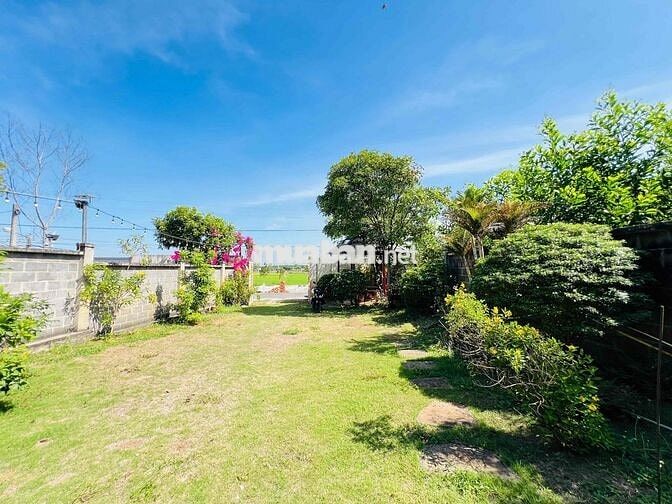 Chưa tới 3 tỷ sở hữu ngay nhà vườn 500m² gần biển – đường nhựa, có sẵn