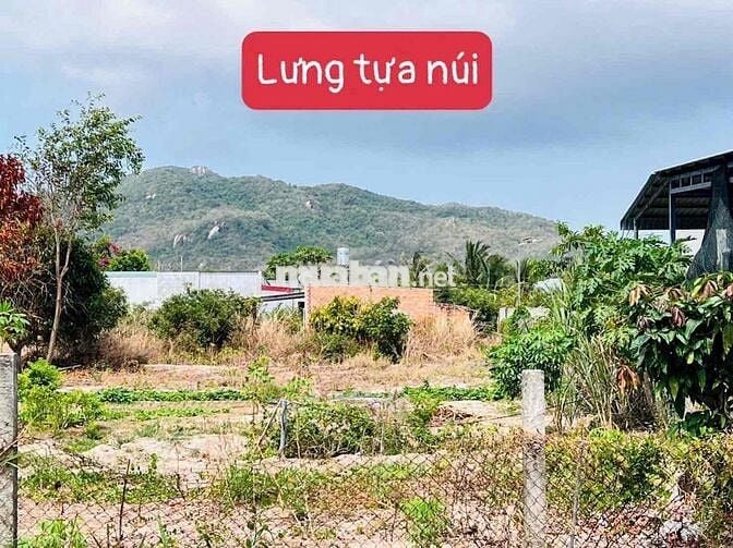 ĐẤT BIỂN PHƯỚC HẢI - CÒN *** LÔ 500M2 (15x35) SIÊU ĐẸP - XÃ PHƯỚC