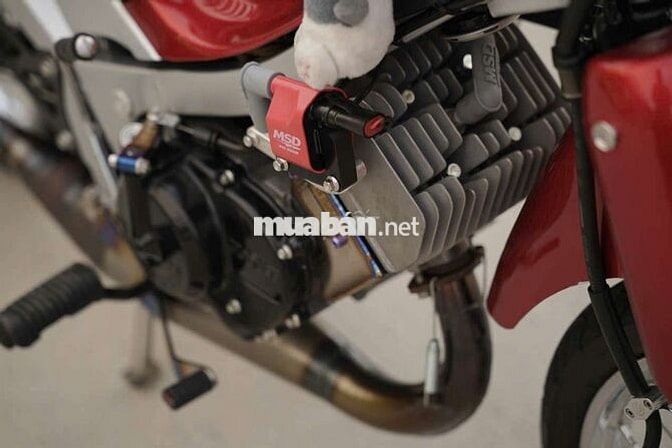 Suzuki RG Sports 110cc Đỏ