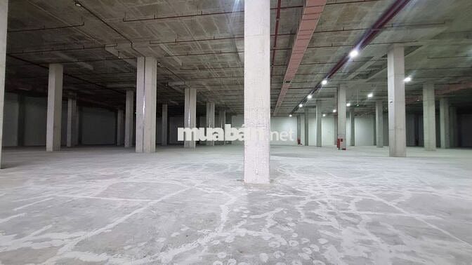 Cho thuê kho KCN Thuận Đạo, Bến Lức, Long An – Kho 4.000m² đến 6.000m²
