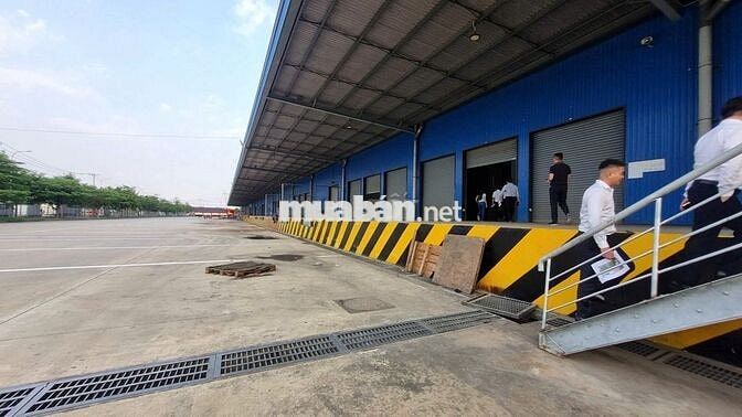 Cho thuê kho KCN Thuận Đạo, Bến Lức, Long An – Kho 4.000m² đến 6.000m²