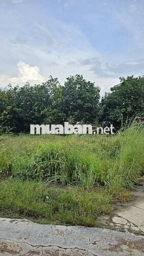 Bán đất nền tại THÔN 1, Nguyễn Thị Minh Khai, 1,7 tỷ, 1450 m2