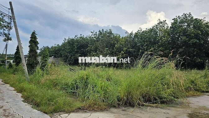Bán đất nền tại THÔN 1, Nguyễn Thị Minh Khai, 1,7 tỷ, 1450 m2