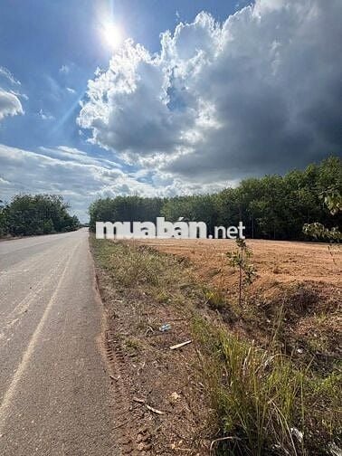 Bán đất 3 tỷ, 2740 m2 tại Nguyễn Thị Minh Khai, xã Đoàn Kết,