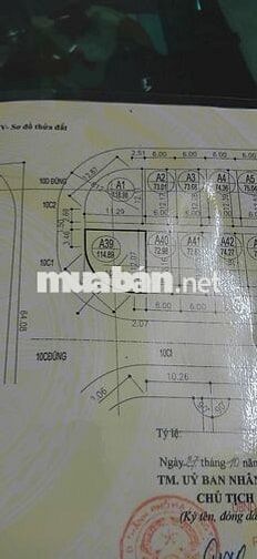 SIÊU PHẨM LÔ GÓC 2 MẶT TIỀN, CẠNH BIỂN KĐT CỘT 5 - CỘT 8