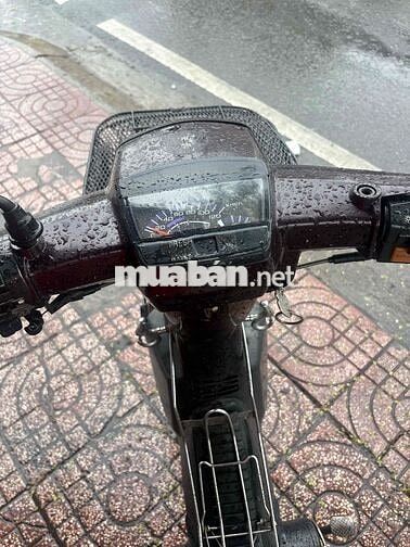 Honda Xe máy màu Nâu