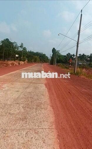 Bán gấp đất nền tại thôn 1, Nguyễn Thị Minh Khai, 1,3 tỷ, 980m2
