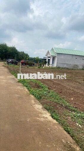 Bán gấp đất nền tại thôn 1, Nguyễn Thị Minh Khai, 1,3 tỷ, 980m2