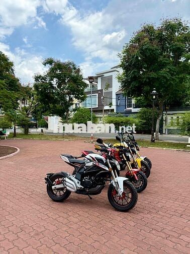 Moto Mini 110cc Xe Mới 100%