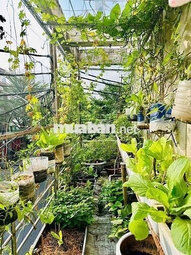 🔥 CHUNG CƯ TẦNG 1 TÂN PHÚ – 2PN – SỔ HỒNG – LÔ GÓC  – SƠN NHẸ LÀ ĐẸP