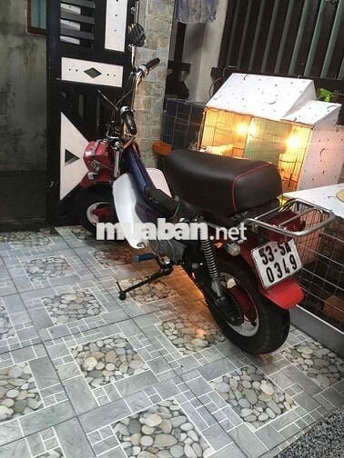 Honda Chaly 81