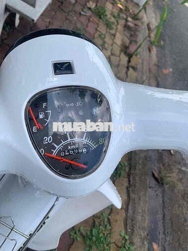 Indomotor Trắng Dưới 5000km 50cc