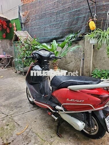 Honda Lead . FI tiết kiệm xăng . giá rẻ cho NLĐ 
