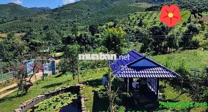 Nhà vườn giữa lưng chừng núi siêu đẹp