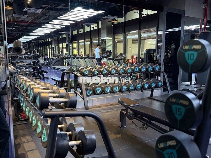 PREMIER FITNESS CENTER TUYỂN DỤNG SALE