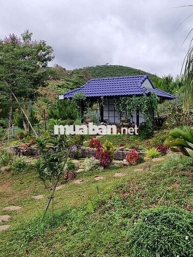 Nhà vườn giữa lưng chừng núi siêu đẹp