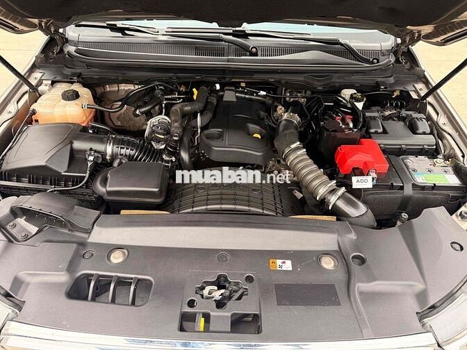 Ford Everest 2019 Titanium 1 cầu 76.000km