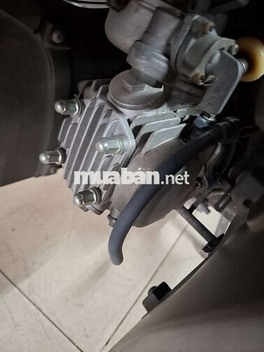 SYM Elegant 50 2019.cccd chủ xe  Xanh đen