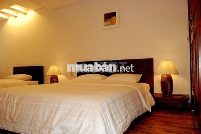 Siêu biệt thự  góc 2 mặt tiền khu chợ Giản Dân8x20 Hầm 2 lầu giá 14 tỷ