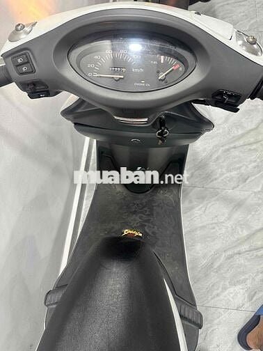 Spacy HQCN 53P4-6666 Ngay chủ
