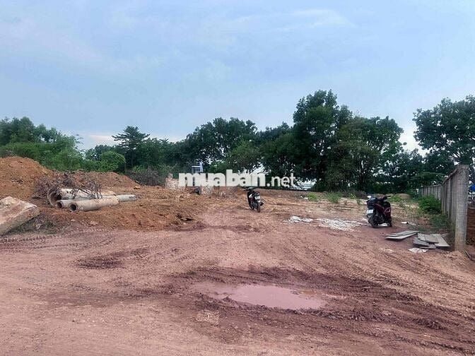 bán đất để chia cho các con khi còn sống