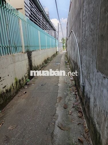 CHO THUÊ PHÒNG TRỌ ĐƯỜNG NGUYỄN THỊ TƯ (GẦN CHỢ BÌNH CHÁNH)