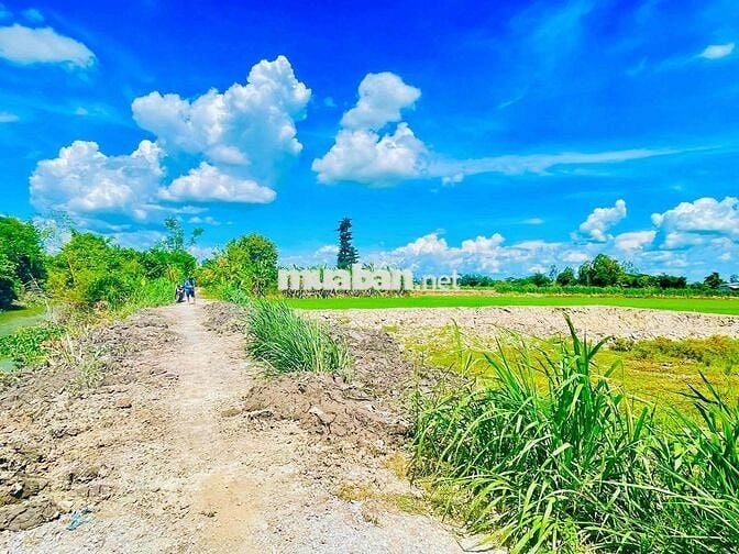 ĐẤT RUỘNG 1014m2 lên lip sẵn PHƯỜNG BÌNH ĐỨC MỚI