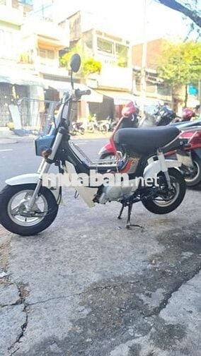 Honda Chaly màu Trắng