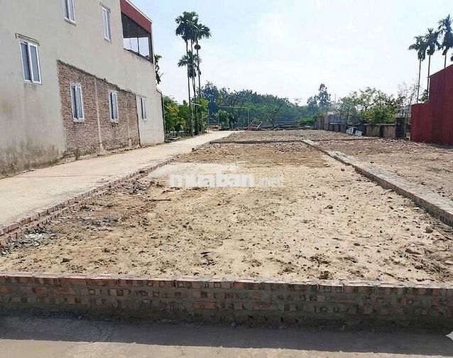 100 m² Phù Lỗ, Sóc Sơn. Giá đầu tư 40 tr/m. Ô tô thông.