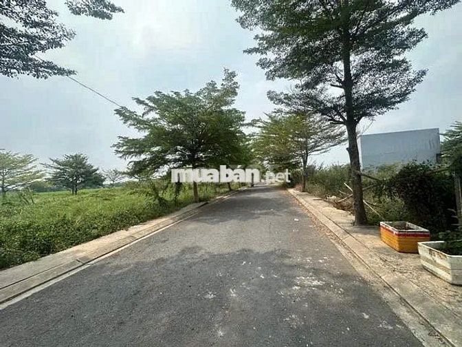 ĐẤT 80M2 -ĐƯỜNG NHỰA 10M  – KHU PHÂN LÔ BÌNH MỸ CỦ CHI – GIÁ 1.56 TỶ