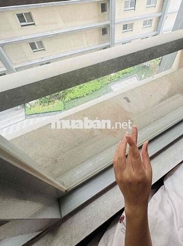 CHO THUÊ Ở GHÉP CHUNG CƯ CAO CẤP QUẬN 7