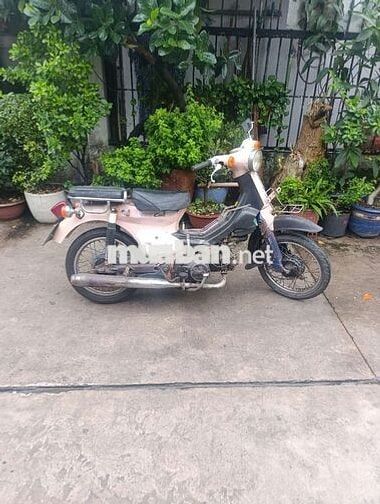 Honda Cub Hồng Đen