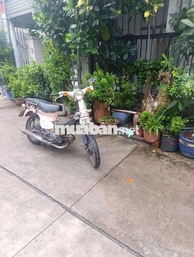Honda Cub Hồng Đen