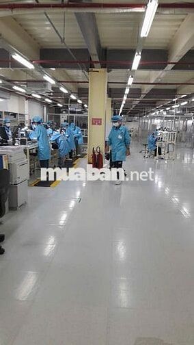 498K/12-ĐIỆNTỬ-MÁT-NỮ-HÀNH CHÍNH-TCA-NGỒI-TÂN BÌNH