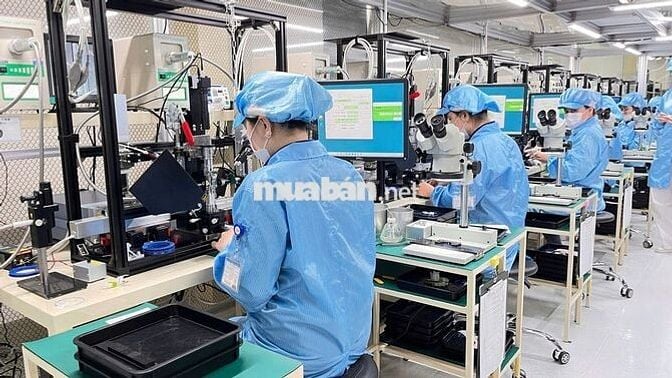 498K/12-ĐIỆNTỬ-MÁT-NỮ-HÀNH CHÍNH-TCA-NGỒI-TÂN BÌNH