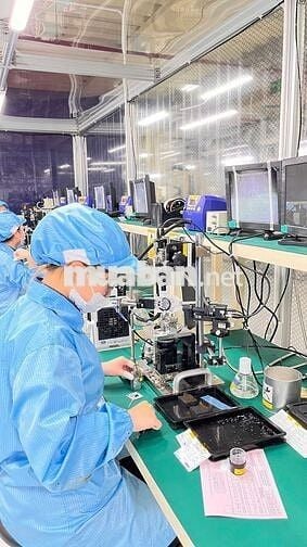 498K/12-ĐIỆNTỬ-MÁT-NỮ-HÀNH CHÍNH-TCA-NGỒI-TÂN BÌNH