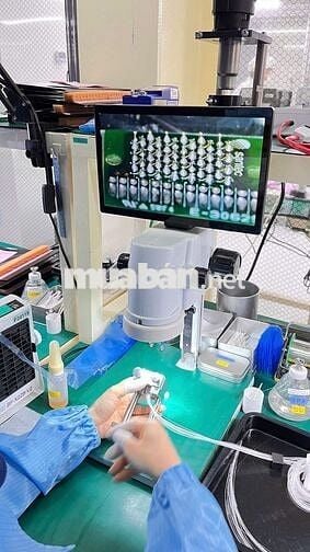 498K/12-ĐIỆNTỬ-MÁT-NỮ-HÀNH CHÍNH-TCA-NGỒI-TÂN BÌNH