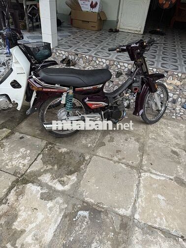 Honda Dream 2013 Nâu đỏ