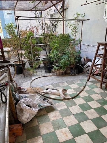 BÁN NHÀ 2 HẺM 2M, THÁI PHIÊN, P.2, Q.11 6,18 TỶ