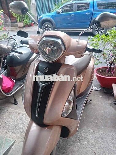 Yamaha Grand Filano 2015 Nâu