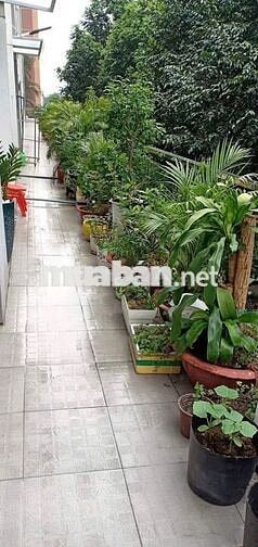 Bán căn hộ Ruby Celadon city 2pn 2wc có bancong