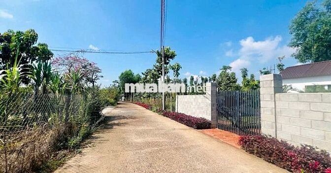 Bán lô đất 134m2 Đ. Gia Huỳnh Phường Trảng Bàng giá chỉ 790tr, SHR