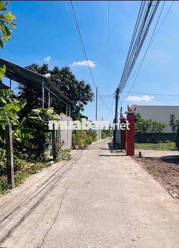 350m2 tại Trảng Bàng giá 980 triệu