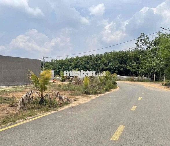 Đất Tân Định Bến Cát nhựa 6m 15x83 làm kho xưởng bãi ve chai ok ạ