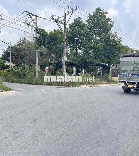 Đất Tân Định Bến Cát nhựa 6m 15x83 làm kho xưởng bãi ve chai ok ạ