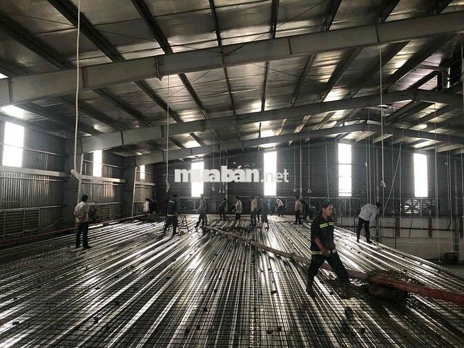 BÁN KHO XƯỞNG 1200M2 TẠI PHƯỜNG TÂN ĐỊNH, TP. BẾN CÁT - VỊ TRÍ ĐẮC ĐỊ
