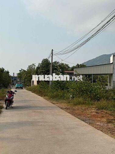 Gấp bán lô đất 189m2 thổ cư sổ riêng, ngay sát QL1A,Xuân Lộc,Đồng Nai