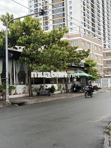 Libra coffee tuyển dụng