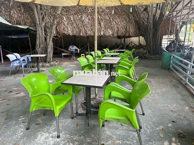 Sang quán cafe sân vườn Hoa Lá